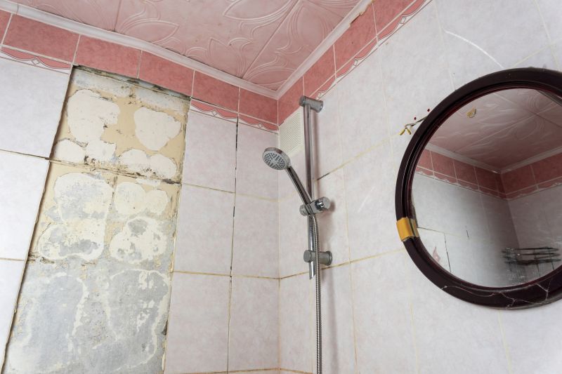 Shower Remodeling in Chester County, PA
